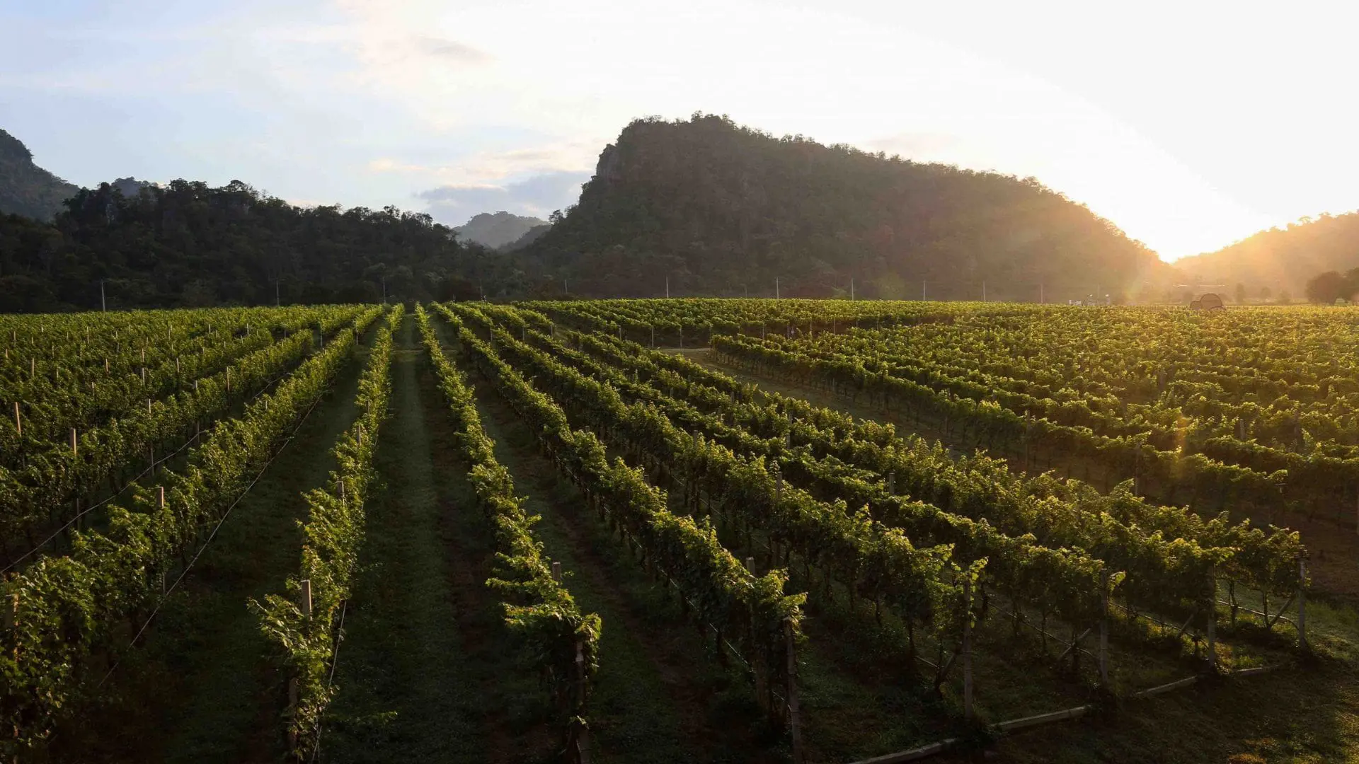 GranMonte Vineyard & Winery