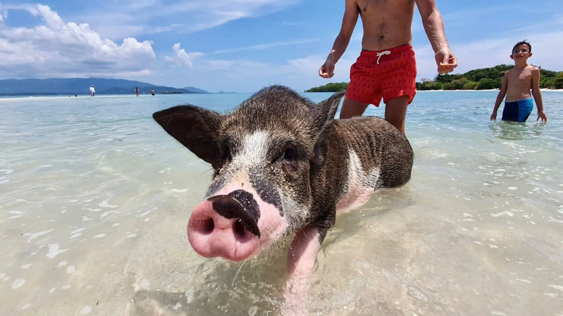 Koh Tan & Koh Madsum Tour (TK Tour)