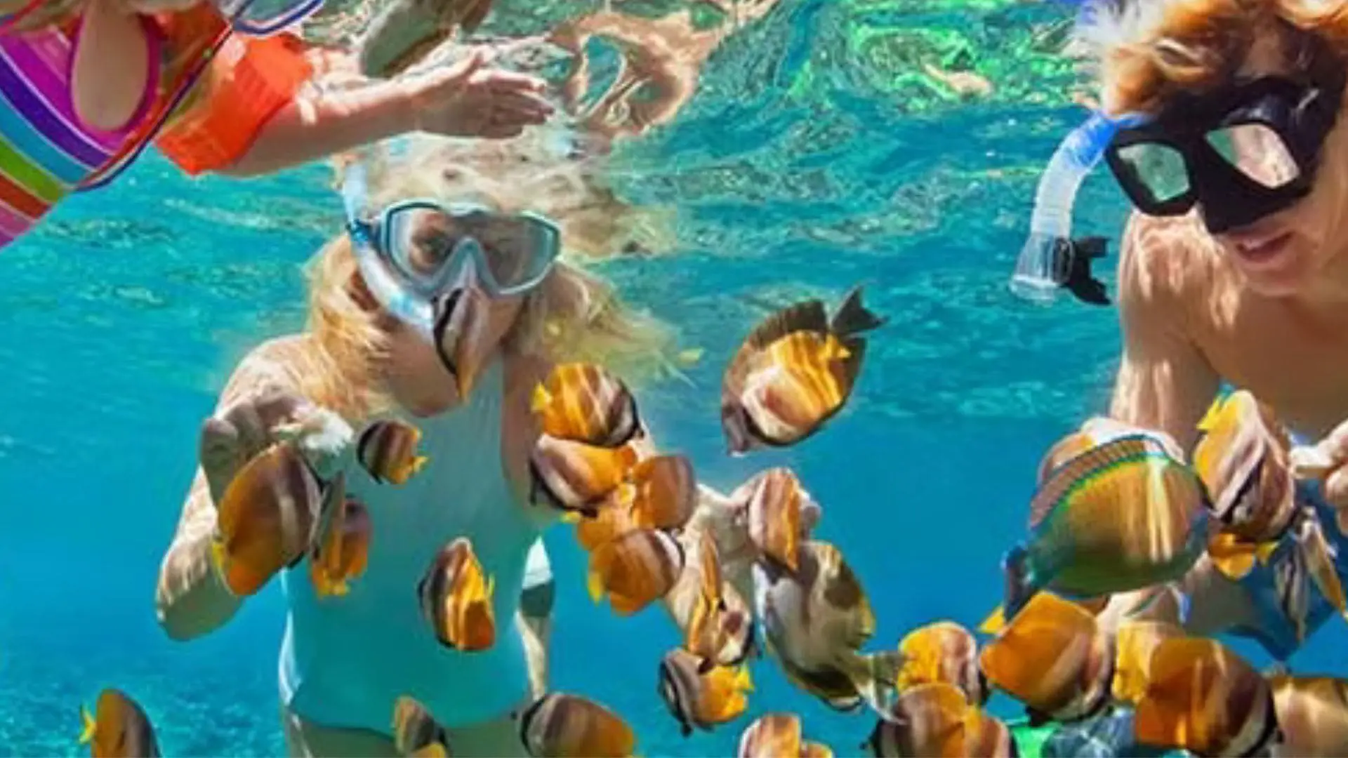 Snorkeling Koh Tao & Koh Nang Yuan