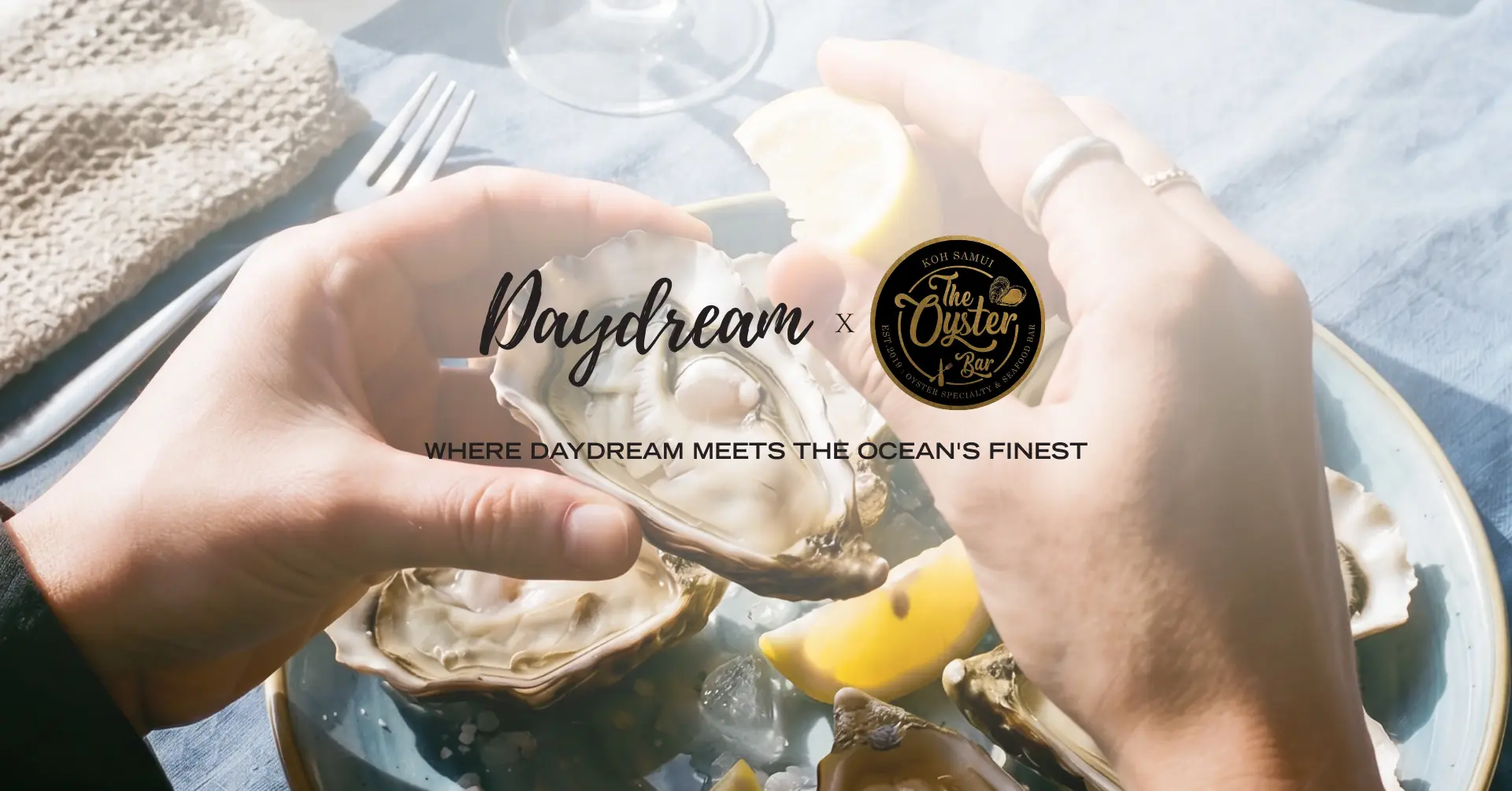 Daydream x Oyster Bar Samui