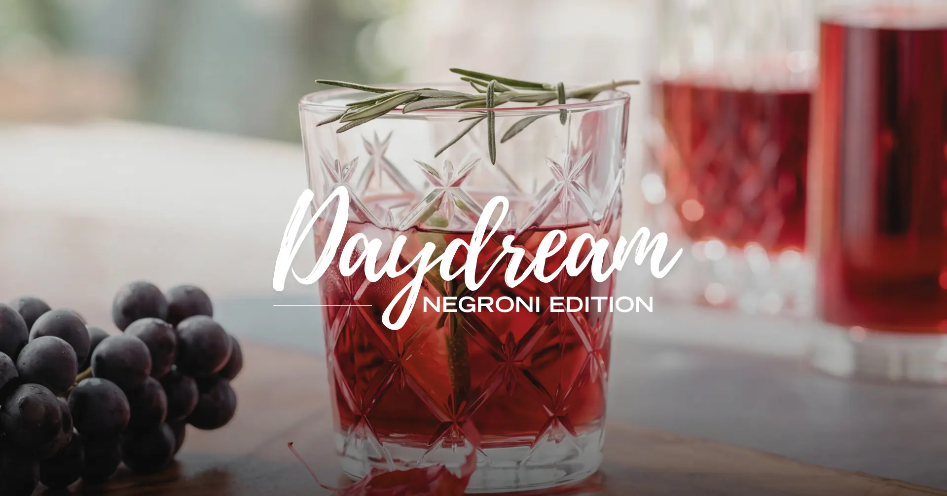 DAYDREAM: NEGRONI EDITION