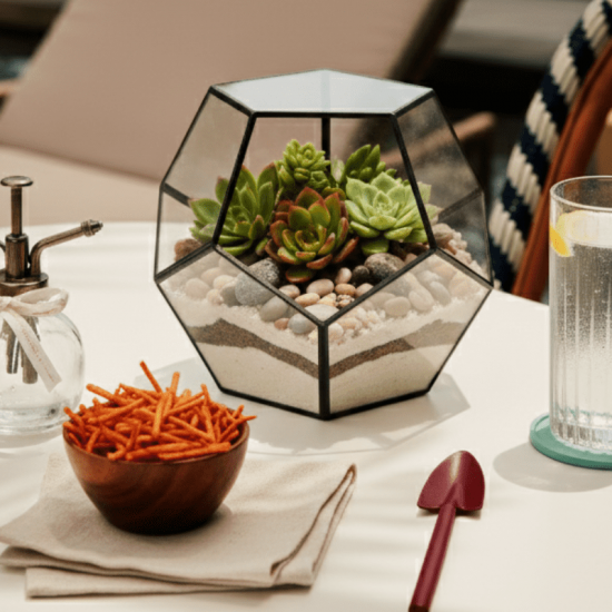 DIY Beach Club Terrarium