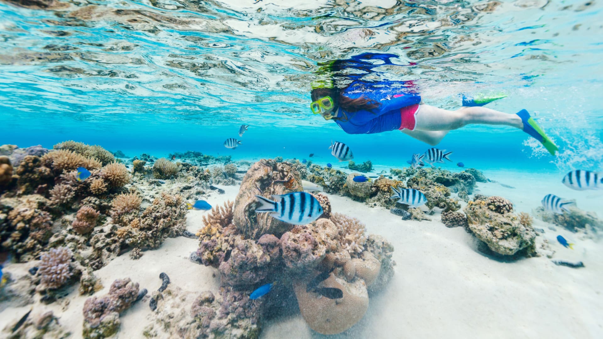 Snorkeling Koh Tao & Koh Nang Yuan